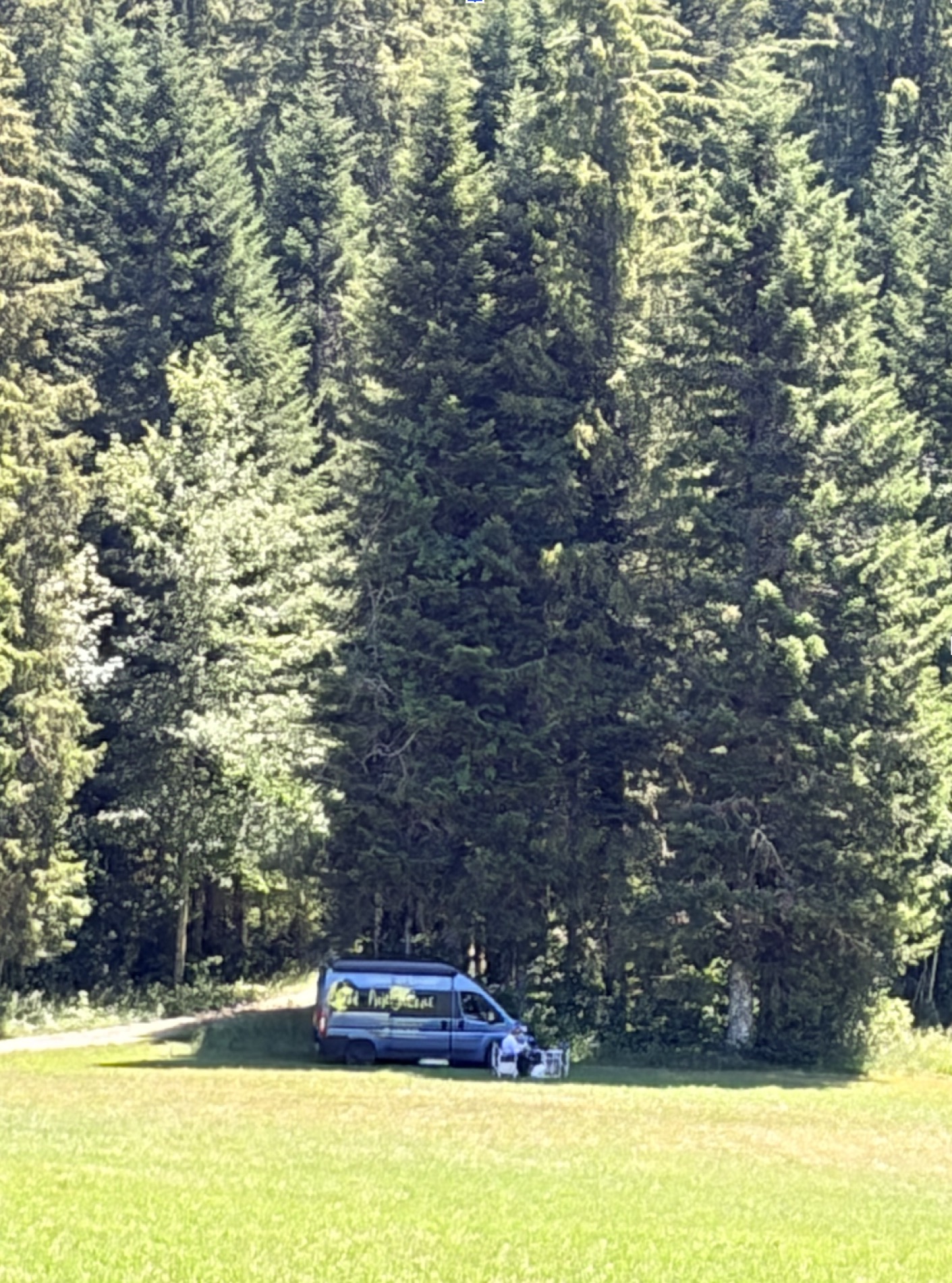 La Philomobile, minuscule au bord d’une immense forêt de sapins.