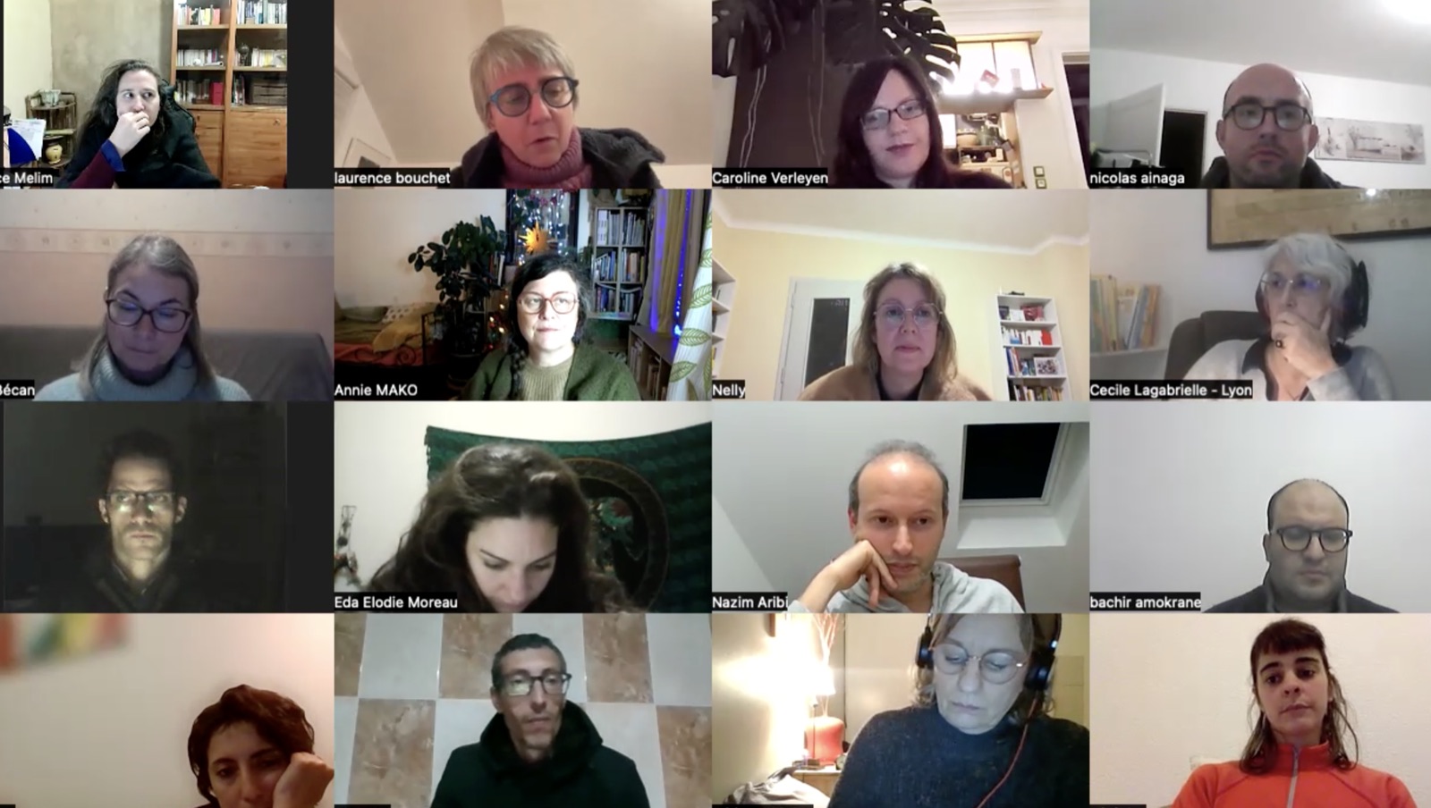 Une formation collective à la consultation philosophique en visioconférence